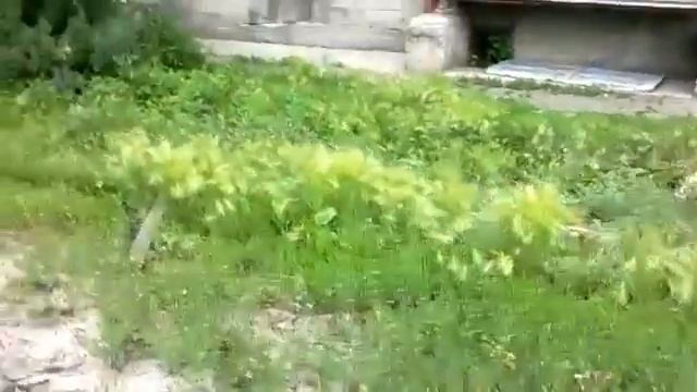 курган,проспект машиностроителей,дом 4. смотреть онлайн