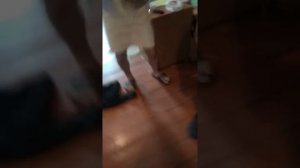 Мальчики переодеваются в девочек а девочки в мальчиков