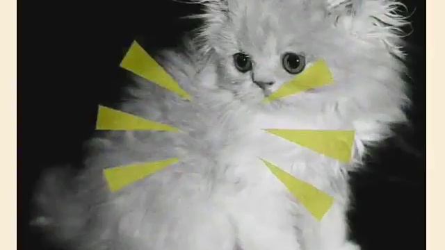 Поставь лайк если тебе жалко котят🐈🐈🐈 смотреть онлайн