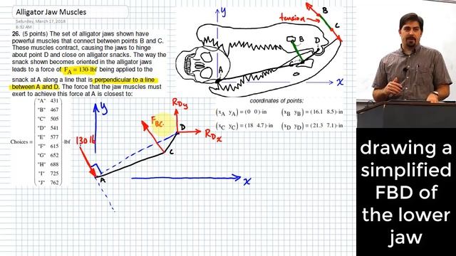 Finding Alligator Jaw Muscle Force to Bite Snack | Coordinates Given to Specify Geometry смотреть онлайн