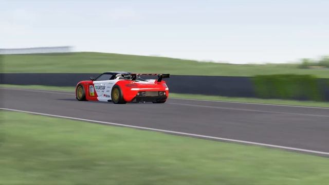 RSSGT Porsche Carrera GT R смотреть онлайн
