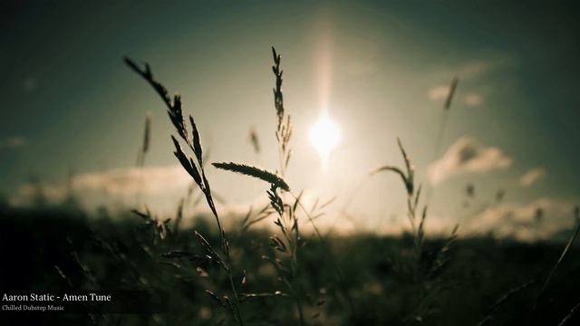 Aaron Static - Amen Tune смотреть онлайн