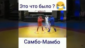 Что это было ???? Самбо-Мамбо