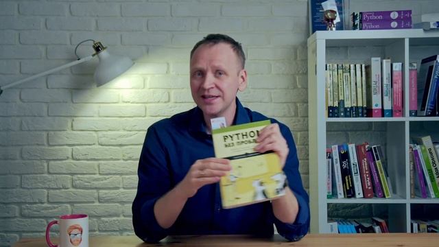 Python без проблем (Даниэль Зингаро) - рецензия на книгу по Python смотреть онлайн