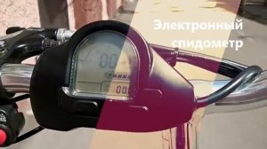 ZAPPY 500W - трехколесный электросамокат от myToy