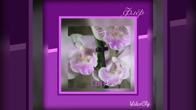 Орхидеи фаленопсисы. Биг Лип. Сорта. Часть 1. смотреть онлайн