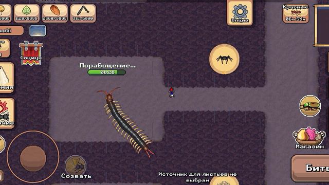 Сороконожка в Pocket Ants
