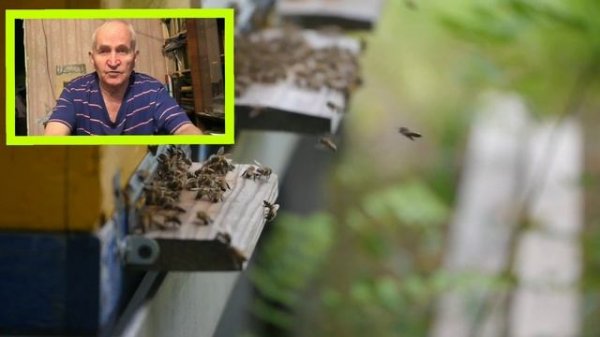 Щавелевая кислота. Секреты пчеловодства от Кашковского В.Г.