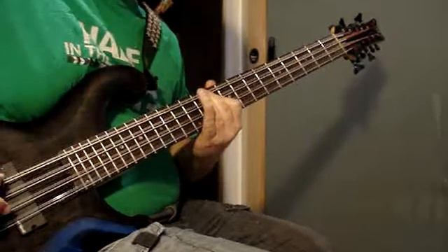 Tristessa - Smashing Pumpkins (12-string Bass Guitar Cover - Dean Rhapsody) смотреть онлайн