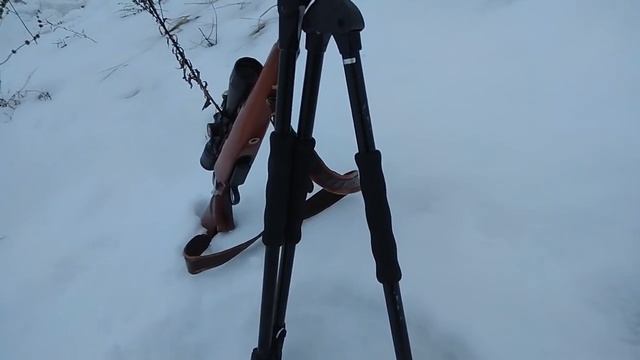 Опора Vanguard QUEST T62U,брать или нет,выбор. смотреть онлайн