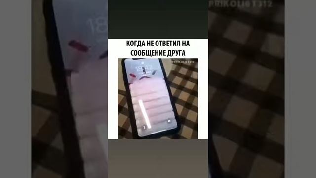 Dinq dinq смотреть онлайн