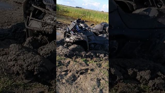 джамбо 700 смотреть онлайн