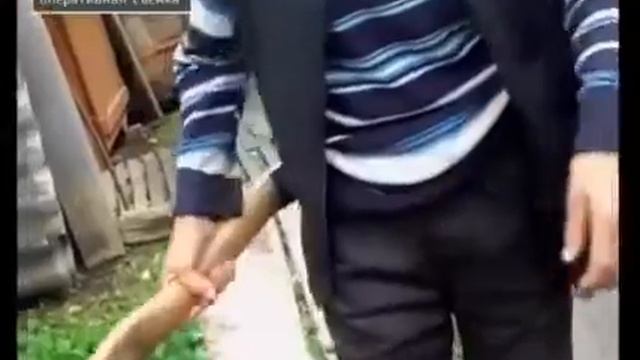 Пенсионер из Чувашии предстанет перед судом за то, что угрожал топором полицейскому смотреть онлайн