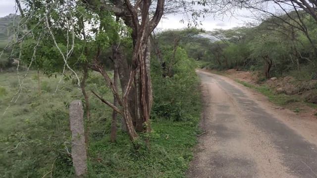 75 CENT RESIDENTIAL LAND FOR SALE IN MADUKARAI 9486122022