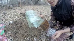 СУМАСШЕДШАЯ ЛОВУШКА НА ПЕРЕПЁЛКУ, КУРОПАТКА