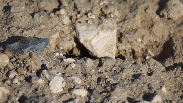 Nikon Coolpix L320 Video (makro çekim)