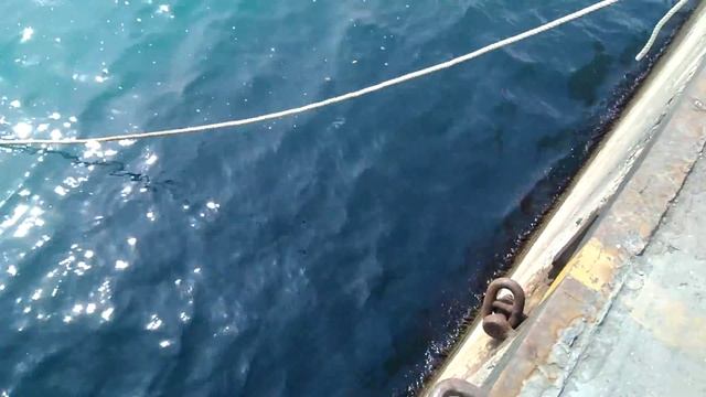 Рыба "кишит", а ловить нельзя! смотреть онлайн