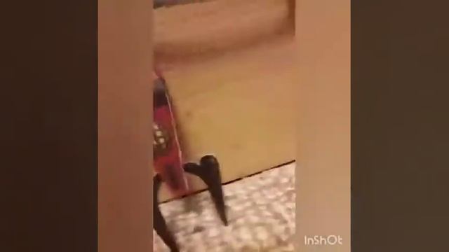 Роботы из бумаги смотреть онлайн