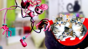 Мамочка Длинные Ноги УКАРАЛА наших КОТЯТ!!!