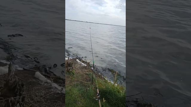 Рыбалка! (Сев Казахстан) смотреть онлайн