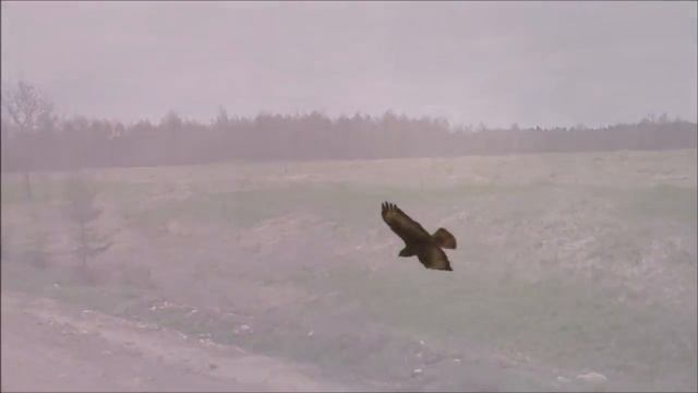 Дачный сезон /Торжок #дача #торжок #деревня #природа смотреть онлайн