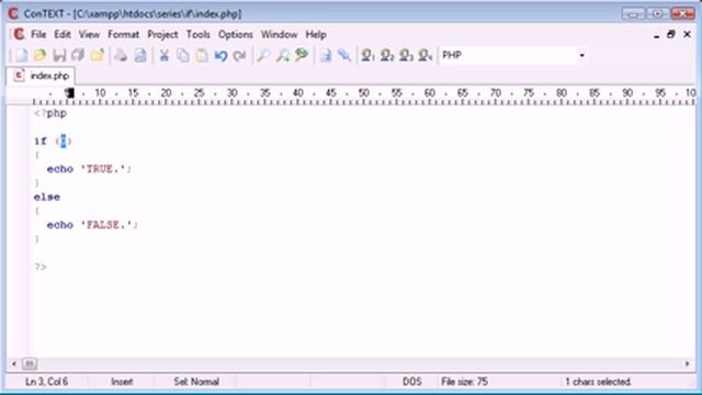Beginner PHP Tutorial   18   If   If Else Statement