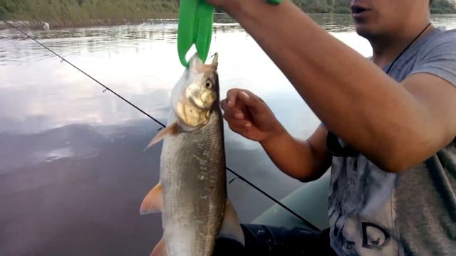 Жерешок и липгрип смотреть онлайн