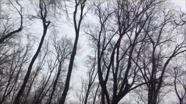 Как я от пенсии отказалась... смотреть онлайн
