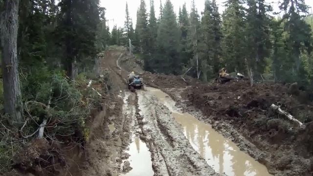 к адмиралу в гости смотреть онлайн