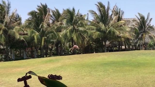 AMAZING place - Muine Bay Resort - VIETNAM Day 4 - LivCATion смотреть онлайн