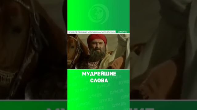 мудрые слова смотреть онлайн