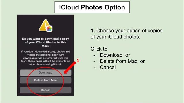 Logging In to Your New Managed Apple ID Account (MacBook), October 2021 смотреть онлайн