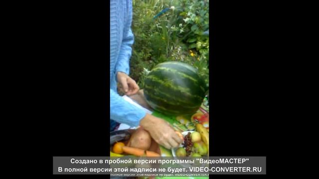 Игра"Угадай на вкус" смотреть онлайн