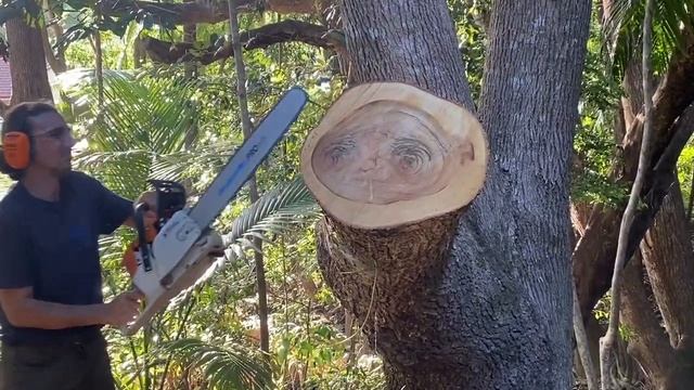 Stihl 381Chainsaw смотреть онлайн