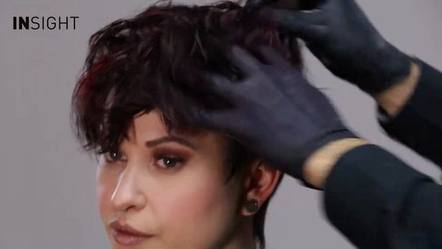 InСolor Pigments INSIGHT PROFESSIONAL смотреть онлайн