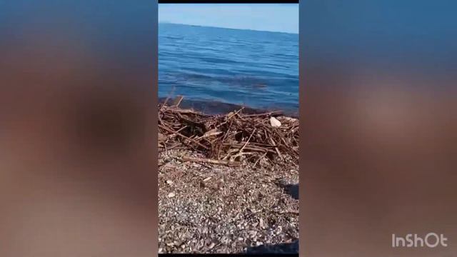 ЛДЗАА 13.07.2023г. Пляж смотреть онлайн