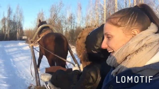 НАСТОЯЩАЯ ЗИМА САНИ ЛОШАДИ СНЕГ БЕЛАРУСЬ КАТАНИЕ В САНЯХ смотреть онлайн