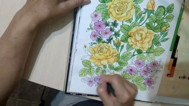 Розы смотреть онлайн