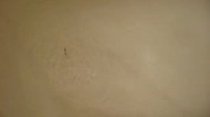 Трёхгранки