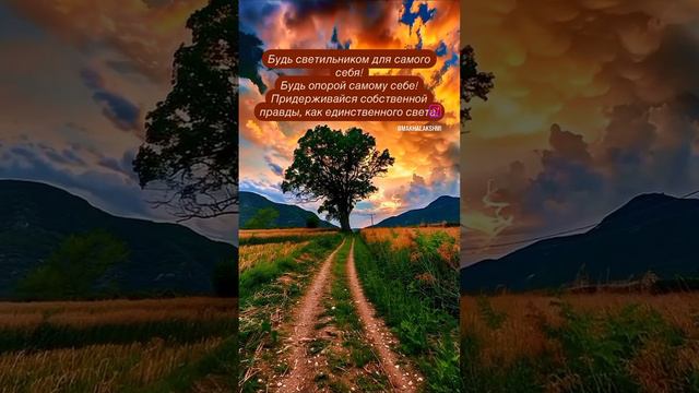 Я опора и поддержка для себя! #аффирмации смотреть онлайн