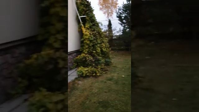 Кибернетичиская установка смотреть онлайн