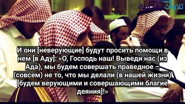 Сура Фатыр (Творец), аят 36-38.Мухаммад Люхайдан смотреть онлайн