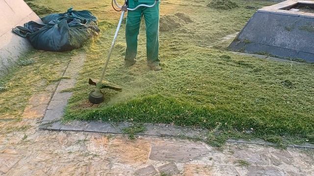 Grass cutting || Brush cutter STIHL FS200 || Edging of grass смотреть онлайн