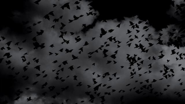 Dark Academia Music/ Melancholic Piano/ #Study Music смотреть онлайн