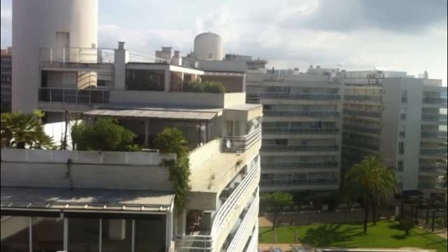 Чайки. Кто они? смотреть онлайн