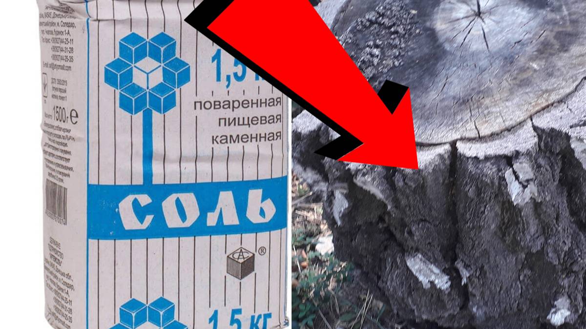 ПОЛЕЗНЫЕ СОВЕТЫ