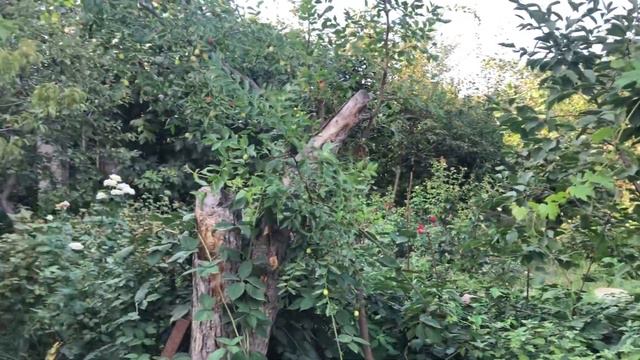 Продаётся дом смотреть онлайн