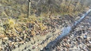 Выезд с тайги  на Мотоблоке Пахарь (8л.с.)