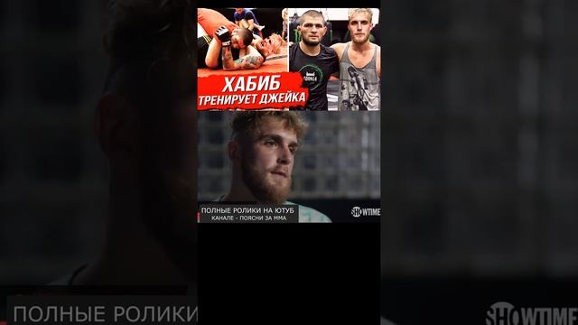 ДИКИЙ СПАРРИНГ ХАБИБА И ДЖЕЙКА ПОЛА!? #short смотреть онлайн