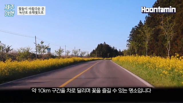 제주도 여행 가볼만한 곳 꽃들이 아름다운 여행지 베스트 5 [제주 여행] / 훈타민 смотреть онлайн